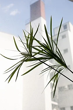 Wolfgang Tillmans Berlin 2020 — Wolfgang Tillmans — Exhibitions — Galerie Buchholz — Image 117