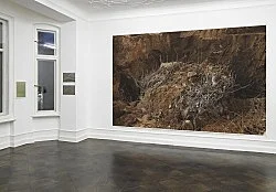 Wolfgang Tillmans Berlin 2020 — Wolfgang Tillmans — Exhibitions — Galerie Buchholz — Image 118