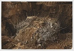 Wolfgang Tillmans Berlin 2020 — Wolfgang Tillmans — Exhibitions — Galerie Buchholz — Image 120