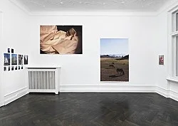 Wolfgang Tillmans Berlin 2020 — Wolfgang Tillmans — Exhibitions — Galerie Buchholz — Image 126