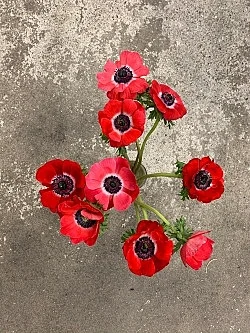 Wolfgang Tillmans Berlin 2020 — Wolfgang Tillmans — Exhibitions — Galerie Buchholz — Image 127