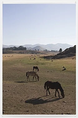 Wolfgang Tillmans Berlin 2020 — Wolfgang Tillmans — Exhibitions — Galerie Buchholz — Image 128