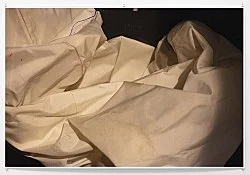 Wolfgang Tillmans Berlin 2020 — Wolfgang Tillmans — Exhibitions — Galerie Buchholz — Image 129