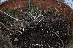 Wolfgang Tillmans Berlin 2020 — Wolfgang Tillmans — Exhibitions — Galerie Buchholz — Image 74