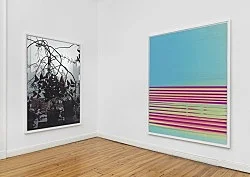 Wolfgang Tillmans Berlin 2020 — Wolfgang Tillmans — Exhibitions — Galerie Buchholz — Image 75