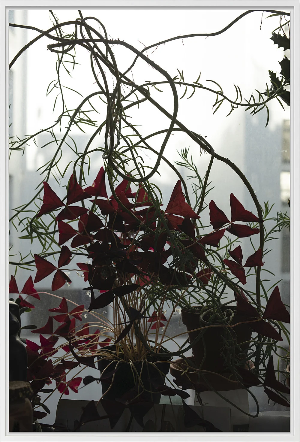 Wolfgang Tillmans Berlin 2020 — Wolfgang Tillmans — Exhibitions — Galerie Buchholz — Image 12