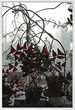 Wolfgang Tillmans Berlin 2020 — Wolfgang Tillmans — Exhibitions — Galerie Buchholz — Image 77