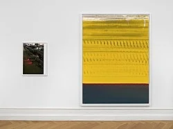 Wolfgang Tillmans Berlin 2020 — Wolfgang Tillmans — Exhibitions — Galerie Buchholz — Image 83