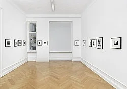 Alvin Baltrop Berlin 2021 — Alvin Baltrop — Exhibitions — Galerie Buchholz — Image 116