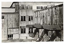 Alvin Baltrop Berlin 2021 — Alvin Baltrop — Exhibitions — Galerie Buchholz — Image 137