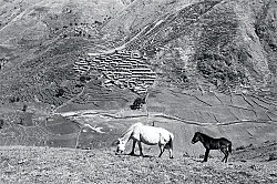 Singers of Ten Thousand Lines — Michael Oppitz — Exhibitions — Galerie Buchholz — Image 57