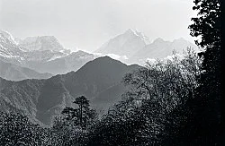 Singers of Ten Thousand Lines — Michael Oppitz — Exhibitions — Galerie Buchholz — Image 61