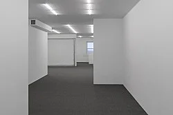 THE CLIP-ON METHOD — Cady Noland — Exhibitions — Galerie Buchholz — Image 23