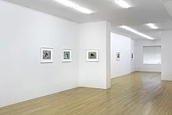 The Pea Stakers — John Kelsey — Exhibitions — Galerie Buchholz — Image 36