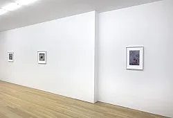 The Pea Stakers — John Kelsey — Exhibitions — Galerie Buchholz — Image 32