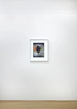 The Pea Stakers — John Kelsey — Exhibitions — Galerie Buchholz — Image 40