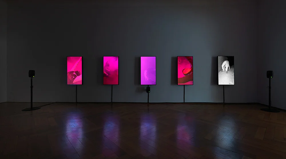 O MAGIC POWER OF BLEAKNESS — Mark Leckey — Exhibitions — Galerie Buchholz — Image 00