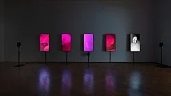 O MAGIC POWER OF BLEAKNESS — Mark Leckey — Exhibitions — Galerie Buchholz — Image 26
