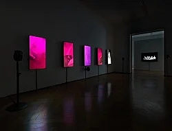O MAGIC POWER OF BLEAKNESS — Mark Leckey — Exhibitions — Galerie Buchholz — Image 27