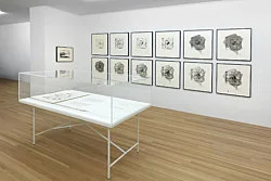 A little bit of Roy Lichtenstein for — Richard Hamilton — Exhibitions — Galerie Buchholz — Image 88