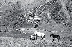 Singers of Ten Thousand Lines — Michael Oppitz — Exhibitions — Galerie Buchholz — Image 59