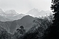 Singers of Ten Thousand Lines — Michael Oppitz — Exhibitions — Galerie Buchholz — Image 64