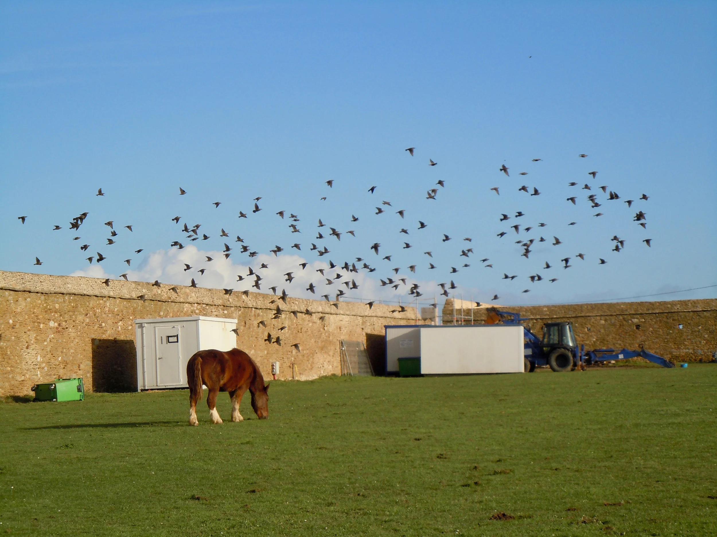 Je cherche quelquun — Alain Guiraudie — Exhibitions — Galerie Buchholz — Image 45