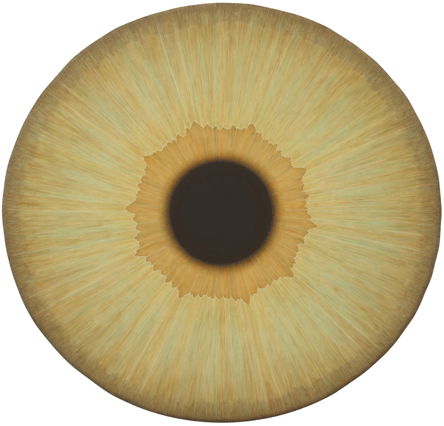 Visionary Machineries — Ulla Wiggen — Exhibitions — Galerie Buchholz — Image 42