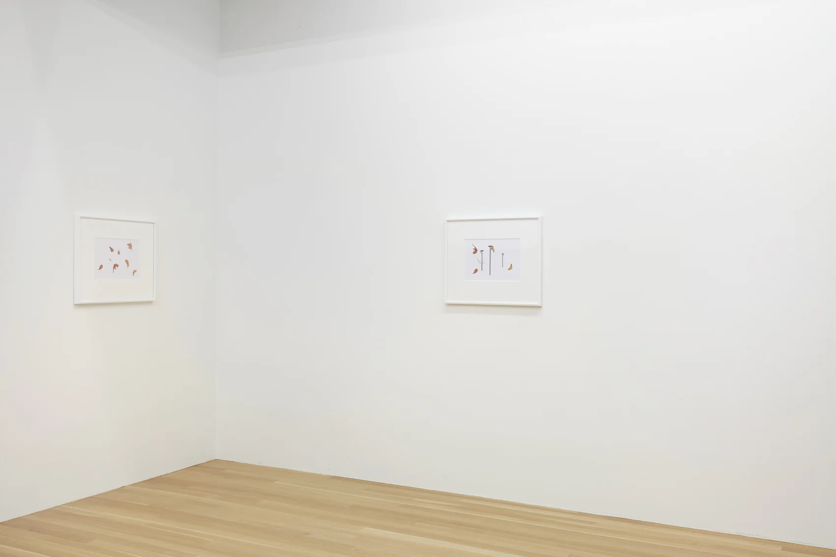 You May See Butterflies Elephant Springs — Gili Tal — Exhibitions — Galerie Buchholz — Image 26