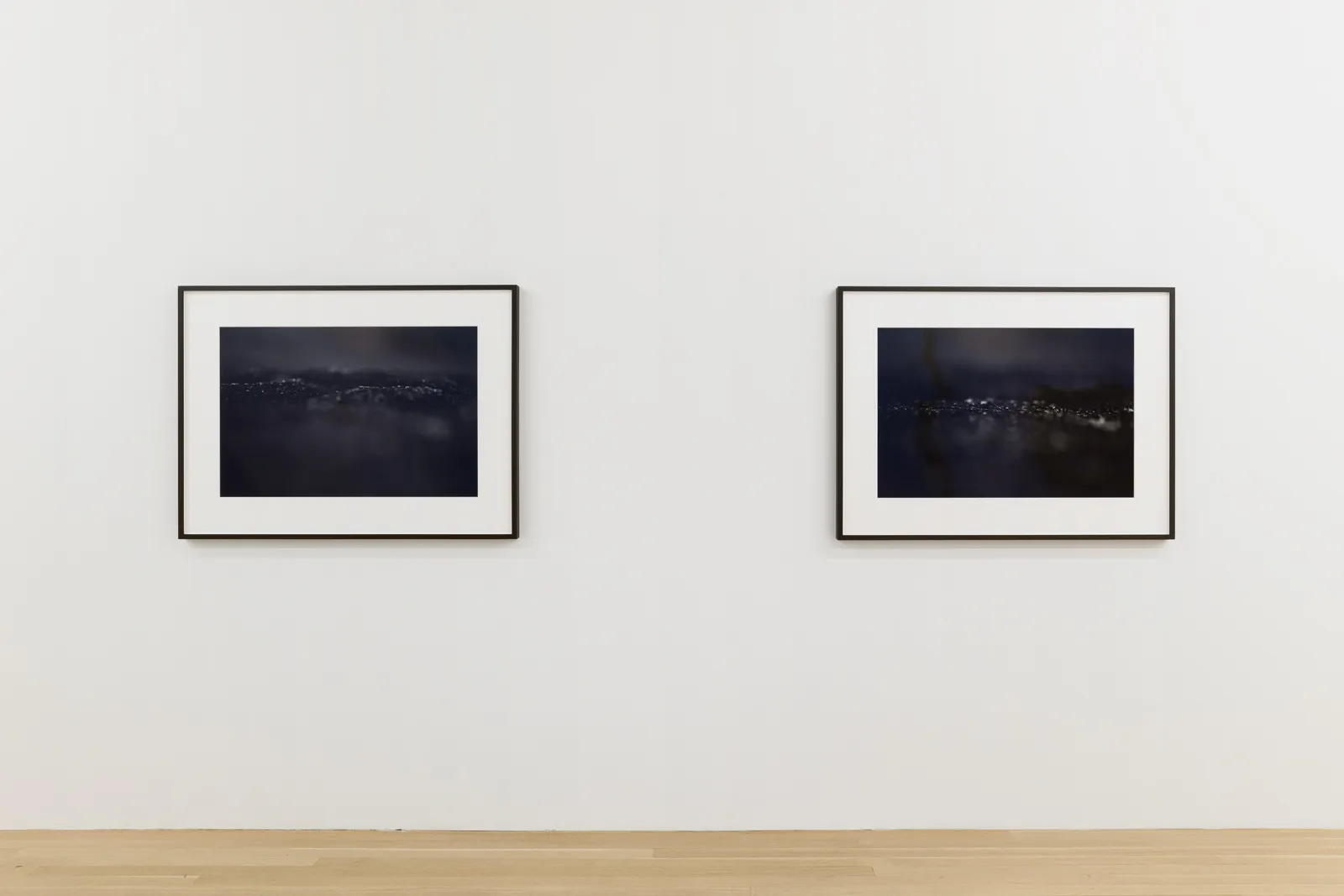 and a footnote on the idea of natural history in Jack Smith an exhibition organized with Juliane Rebentisch — Lutz Bacher, Isa Genzken, Anne Imhof, Michael Krebber, Henrik Olesen, Josephine Pryde — Exhibitions — Galerie Buchholz — Image 22