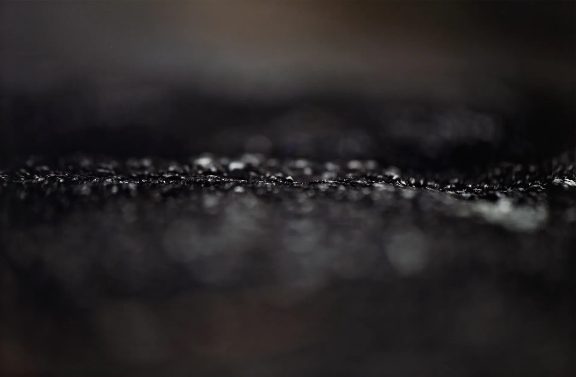 and a footnote on the idea of natural history in Jack Smith an exhibition organized with Juliane Rebentisch — Lutz Bacher, Isa Genzken, Anne Imhof, Michael Krebber, Henrik Olesen, Josephine Pryde — Exhibitions — Galerie Buchholz — Image 65