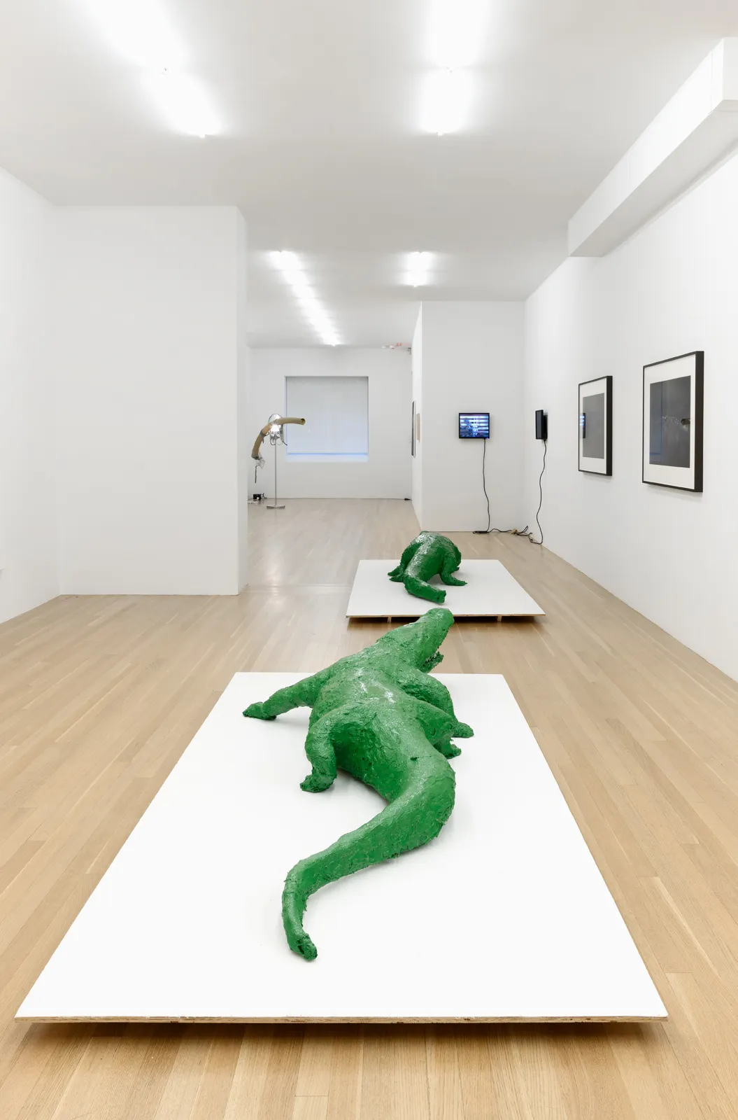 and a footnote on the idea of natural history in Jack Smith an exhibition organized with Juliane Rebentisch — Lutz Bacher, Isa Genzken, Anne Imhof, Michael Krebber, Henrik Olesen, Josephine Pryde — Exhibitions — Galerie Buchholz — Image 67