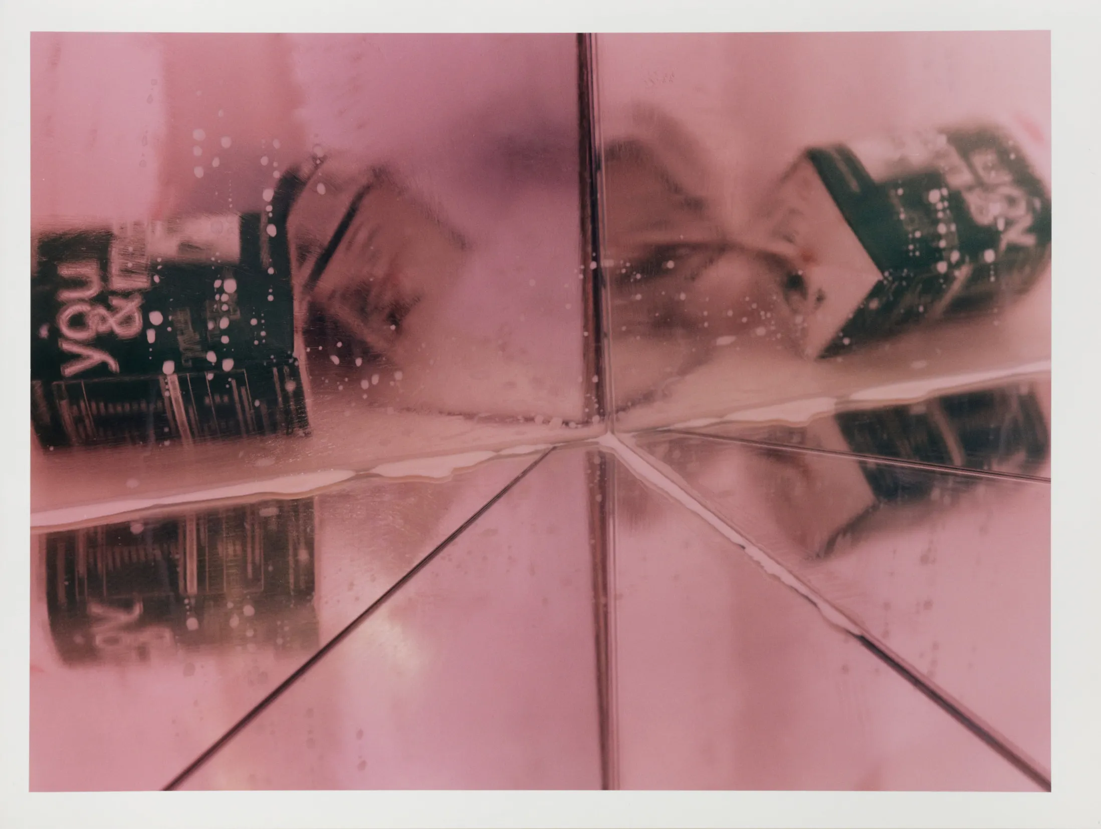 and a footnote on the idea of natural history in Jack Smith an exhibition organized with Juliane Rebentisch — Lutz Bacher, Isa Genzken, Anne Imhof, Michael Krebber, Henrik Olesen, Josephine Pryde — Exhibitions — Galerie Buchholz — Image 69