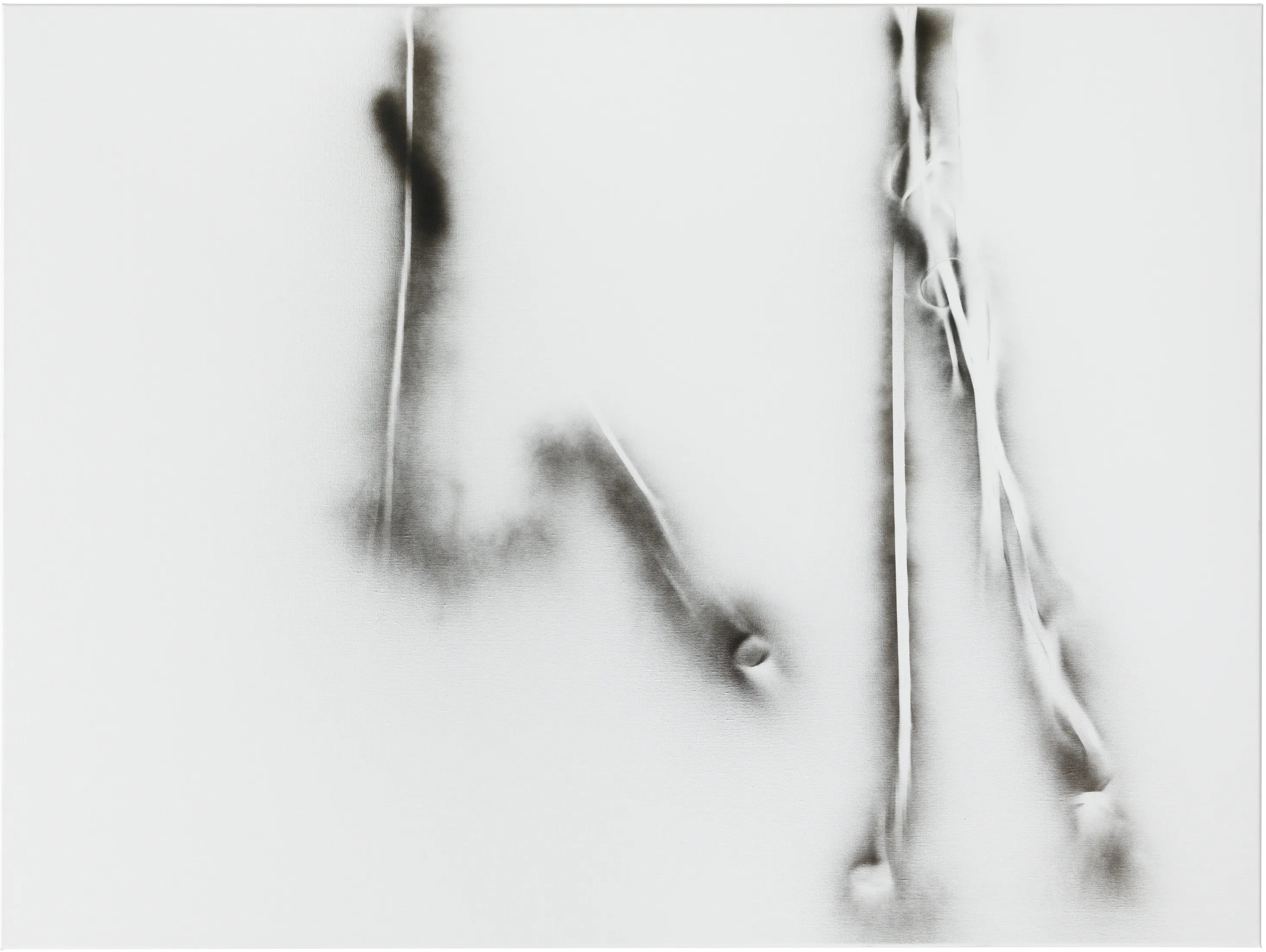 and a footnote on the idea of natural history in Jack Smith an exhibition organized with Juliane Rebentisch — Lutz Bacher, Isa Genzken, Anne Imhof, Michael Krebber, Henrik Olesen, Josephine Pryde — Exhibitions — Galerie Buchholz — Image 82