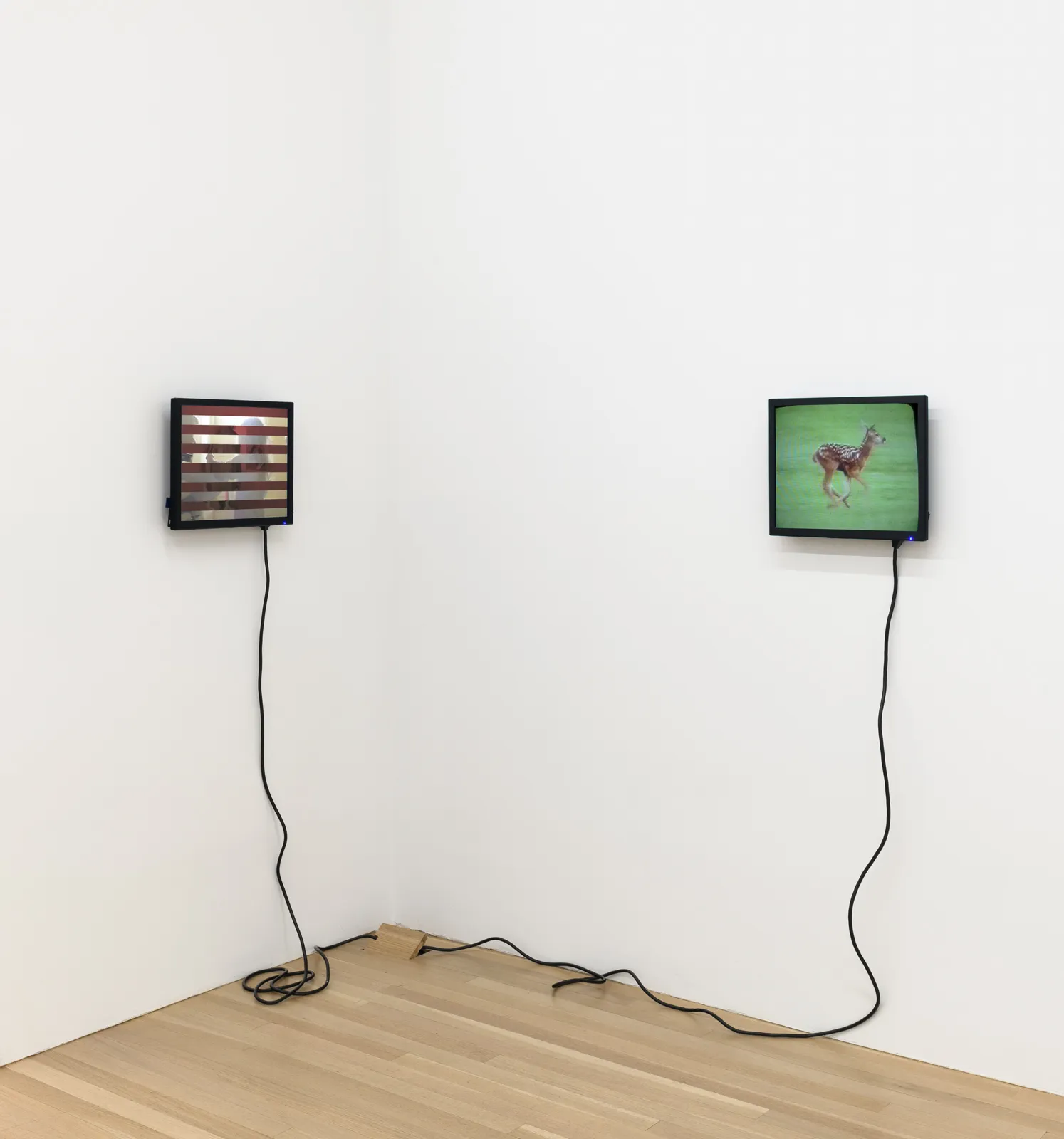 and a footnote on the idea of natural history in Jack Smith an exhibition organized with Juliane Rebentisch — Lutz Bacher, Isa Genzken, Anne Imhof, Michael Krebber, Henrik Olesen, Josephine Pryde — Exhibitions — Galerie Buchholz — Image 11