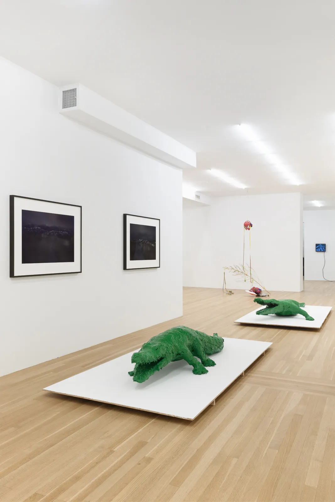 and a footnote on the idea of natural history in Jack Smith an exhibition organized with Juliane Rebentisch — Lutz Bacher, Isa Genzken, Anne Imhof, Michael Krebber, Henrik Olesen, Josephine Pryde — Exhibitions — Galerie Buchholz — Image 54