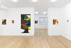 Exhibition curated by Yve-Alain Bois — Christophe Verfaille — Exhibitions — Galerie Buchholz — Image 82