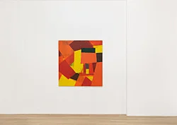 Exhibition curated by Yve-Alain Bois — Christophe Verfaille — Exhibitions — Galerie Buchholz — Image 96