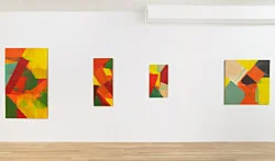 Exhibition curated by Yve-Alain Bois — Christophe Verfaille — Exhibitions — Galerie Buchholz — Image 68