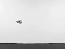 Lost Cove Tiki — Caleb Considine — Exhibitions — Galerie Buchholz — Image 28