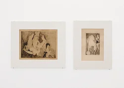 The Adroit Princess curated by Jelena Kristic exhibition design Mathias Poledna — Marie Laurencin — Exhibitions — Galerie Buchholz — Image 49