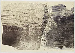 Dryad — Stewart Uoo — Exhibitions — Galerie Buchholz — Image 25