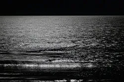 Summer Storm Rain Drops Freeze Frame — Wolfgang Tillmans — Exhibitions — Galerie Buchholz — Image 80