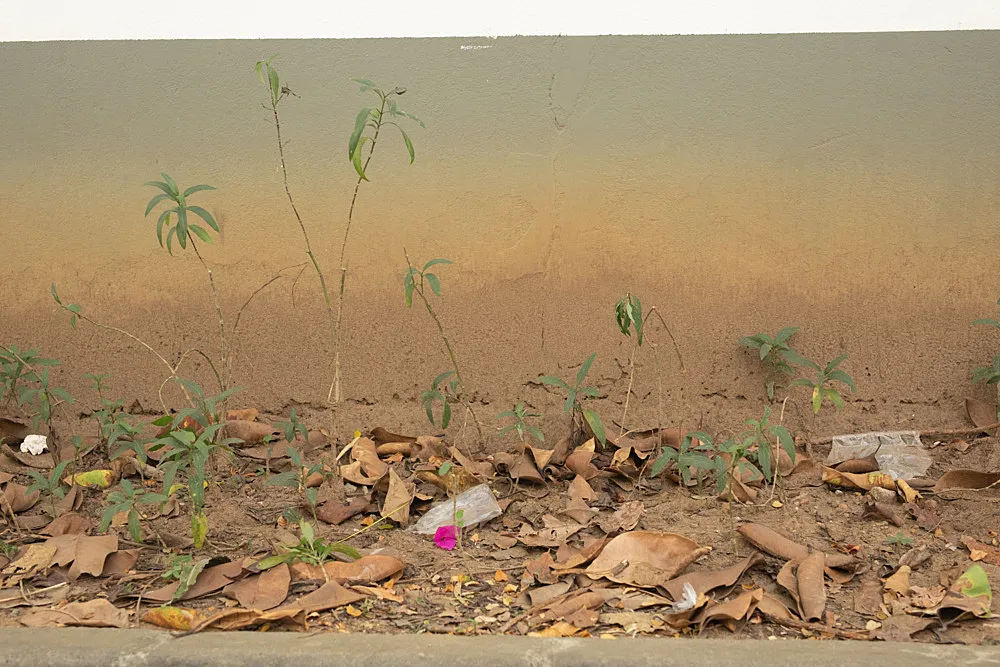 Summer Storm Rain Drops Freeze Frame — Wolfgang Tillmans — Exhibitions — Galerie Buchholz — Image 00