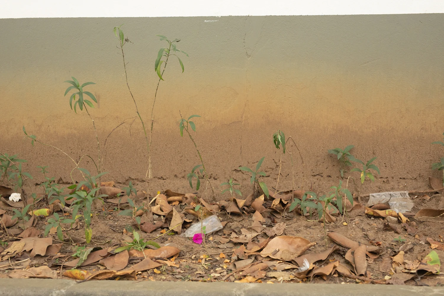 Summer Storm Rain Drops Freeze Frame — Wolfgang Tillmans — Exhibitions — Galerie Buchholz — Image 05