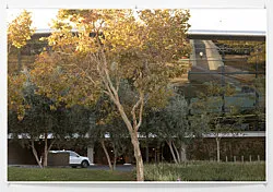 Summer Storm Rain Drops Freeze Frame — Wolfgang Tillmans — Exhibitions — Galerie Buchholz — Image 118