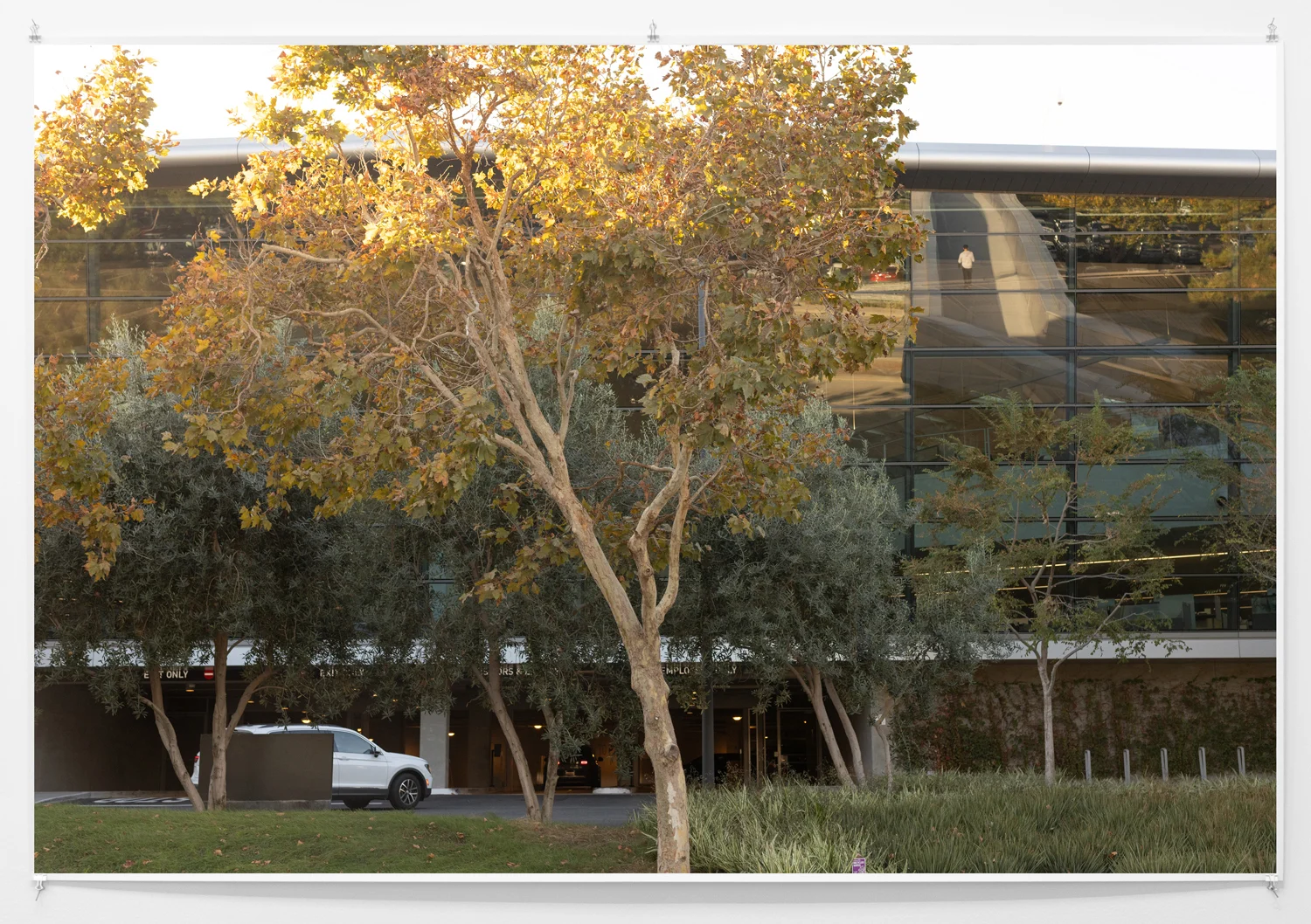 Summer Storm Rain Drops Freeze Frame — Wolfgang Tillmans — Exhibitions — Galerie Buchholz — Image 57