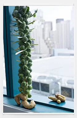 Summer Storm Rain Drops Freeze Frame — Wolfgang Tillmans — Exhibitions — Galerie Buchholz — Image 69