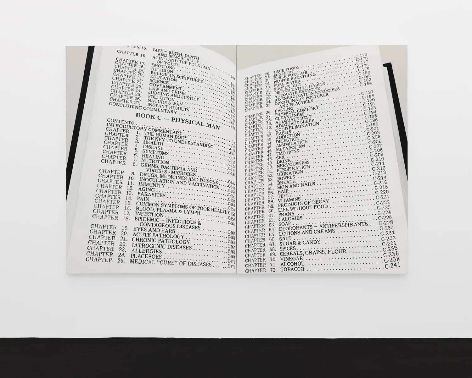 Orders to Kill — Frances Stark — Exhibitions — Galerie Buchholz — Image 05