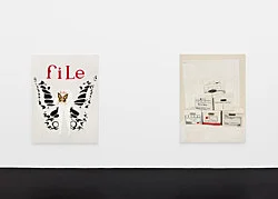 Orders to Kill — Frances Stark — Exhibitions — Galerie Buchholz — Image 30